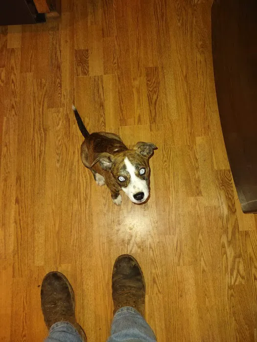 Notchey Creek Veterinary Picture 8