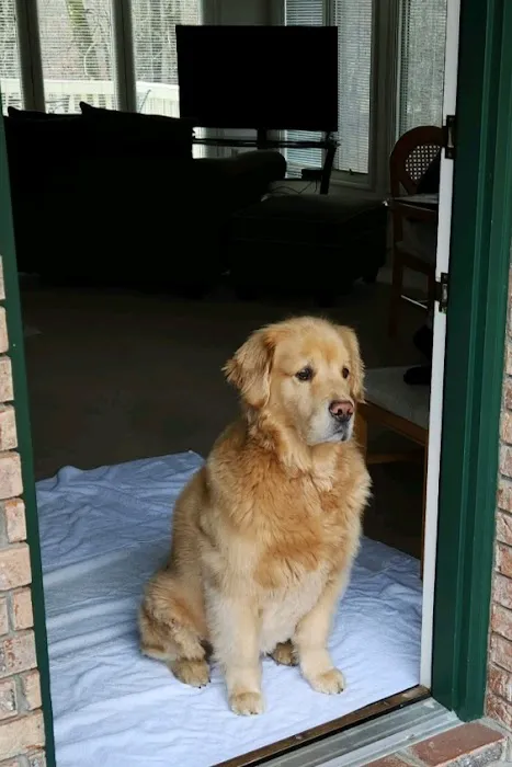 Tellico Bay Animal Hospital LLC Picture 4