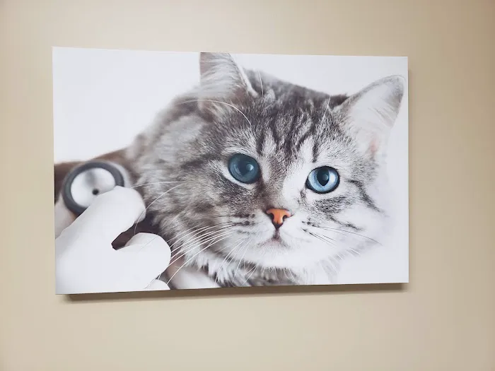 Tellico Bay Animal Hospital LLC Picture 3