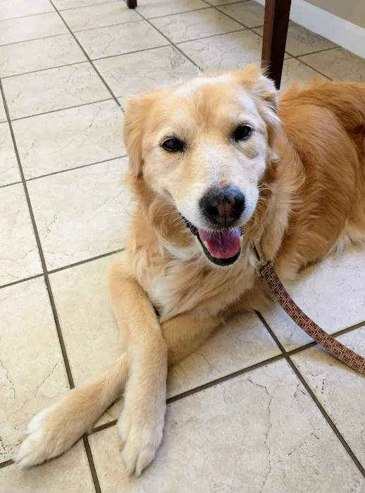 Tellico Bay Animal Hospital LLC Picture 6