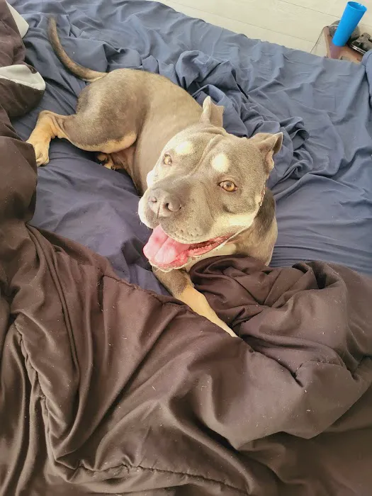 Tellico Bay Animal Hospital LLC Picture 7