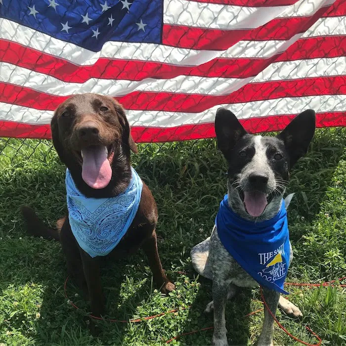 Tellico Bay Animal Hospital LLC Picture 9
