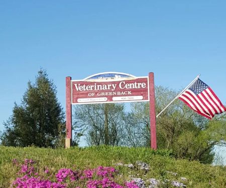 Veterinary Centre of Greenback