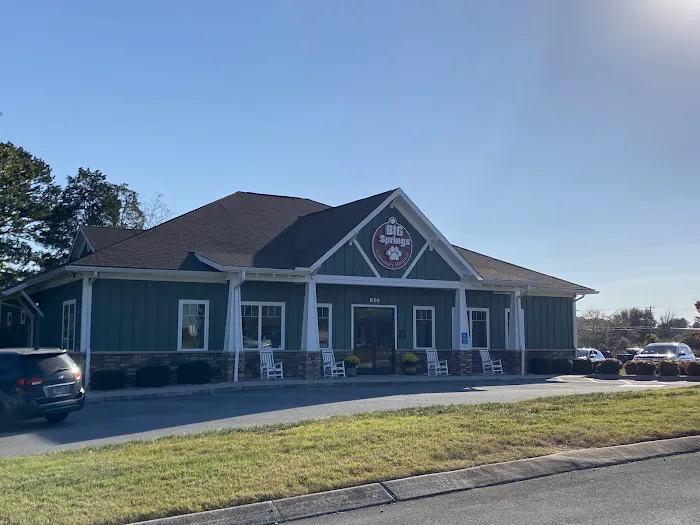 Big Springs Veterinary Hospital Picture 1