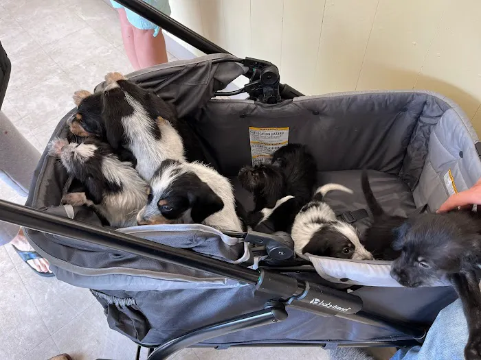 Fairview Animal Hospital Picture 3
