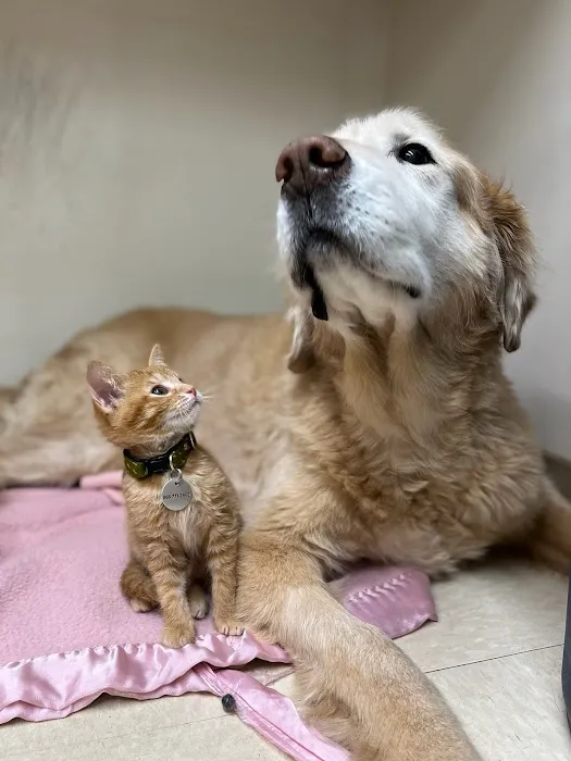 Fairview Animal Hospital Picture 7