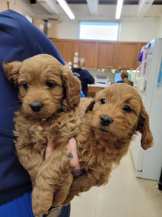 Fairview Animal Hospital Picture 9