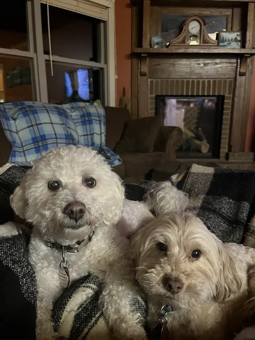 Best Friends Veterinary Hospital Picture 10