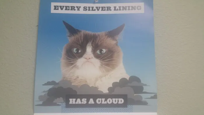 Flatt Veterinary Clinic Picture 6