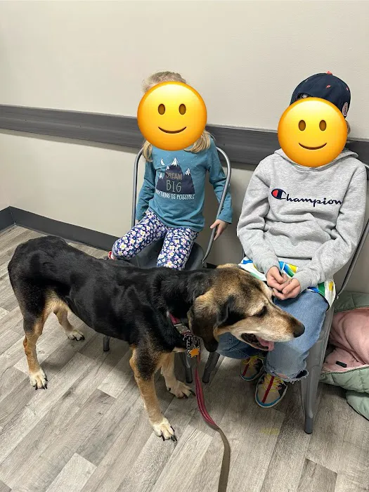 Ball-Chatham Veterinary Services Picture 5