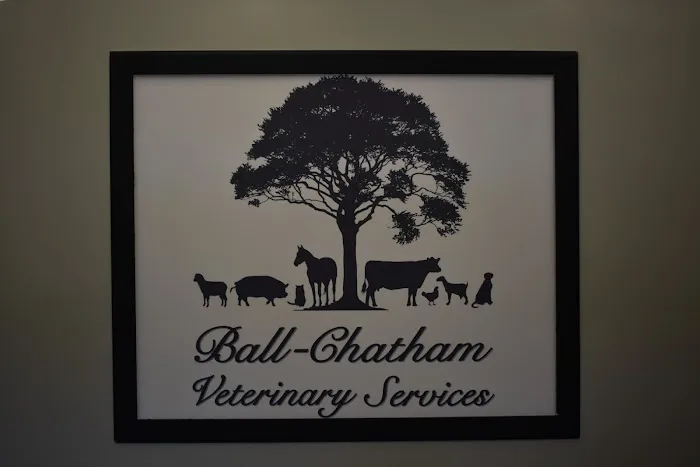Ball-Chatham Veterinary Services Picture 8