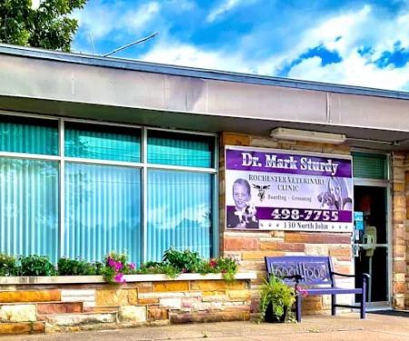 Rochester Veterinary Clinic