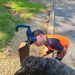 Roundbarn Veterinary Center, LLC