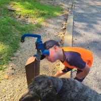 Roundbarn Veterinary Center, LLC ico