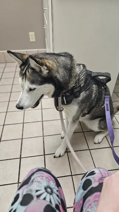 Animal Wellness Center of Pontiac Picture 5