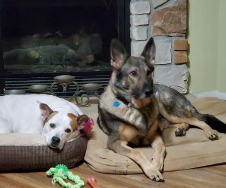 Chenoa Veterinary Clinic