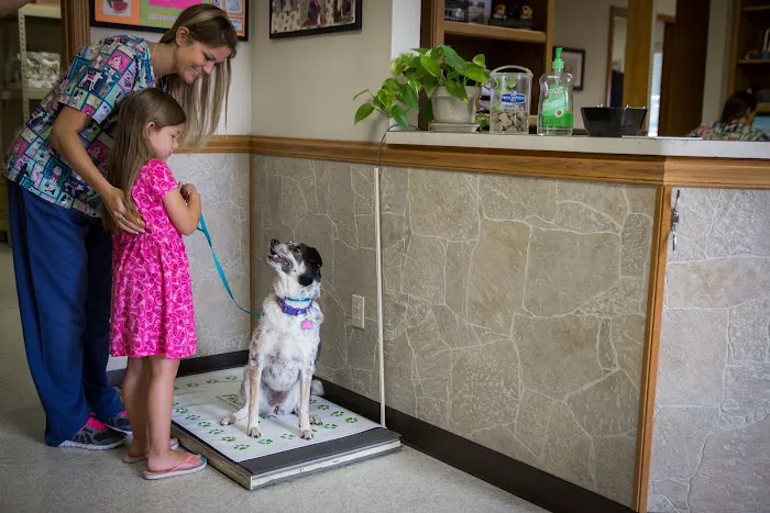 Lakewood Animal Hospital Picture 3
