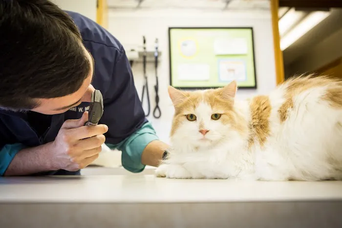 Lakewood Animal Hospital Picture 8