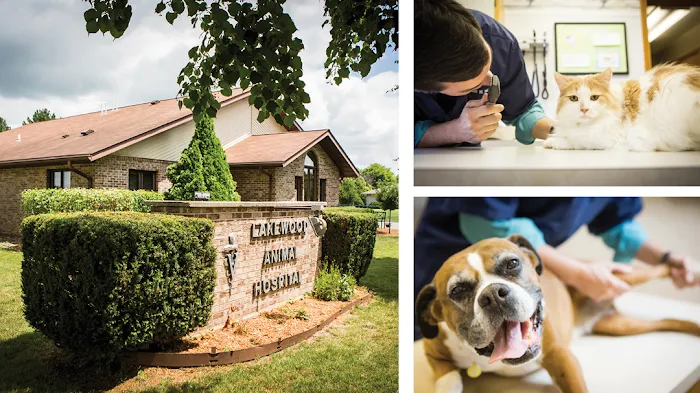 Lakewood Animal Hospital Picture 10