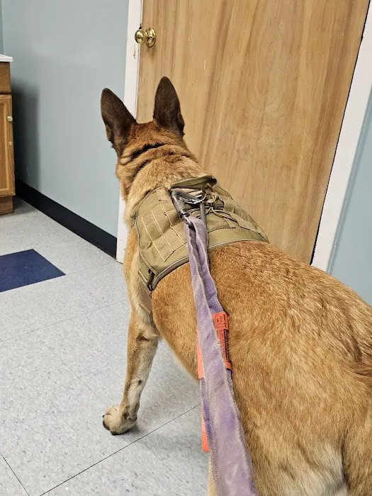 Morris Veterinary Hospital, PC Picture 4
