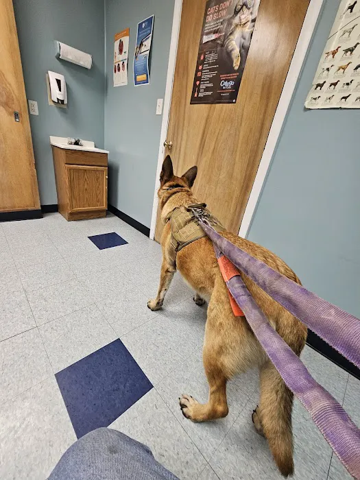 Morris Veterinary Hospital, PC Picture 3