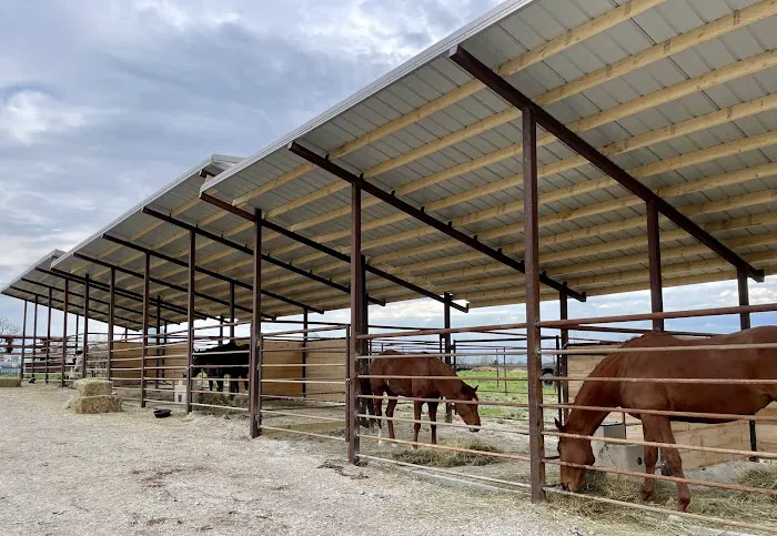 StillGrass Veterinarians Picture 2