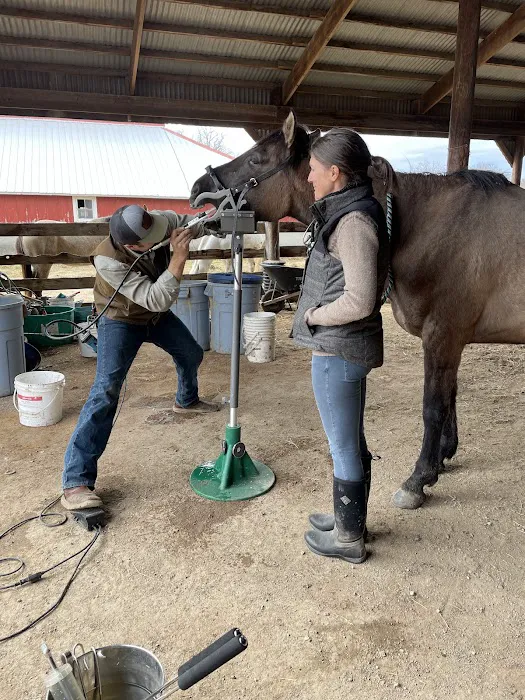 StillGrass Veterinarians Picture 1