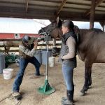 StillGrass Veterinarians