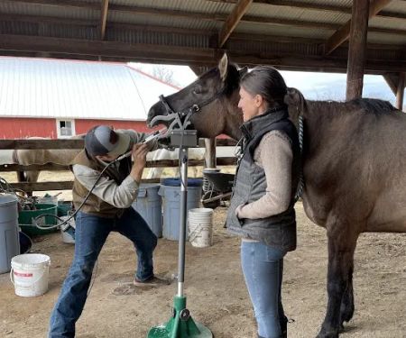 StillGrass Veterinarians