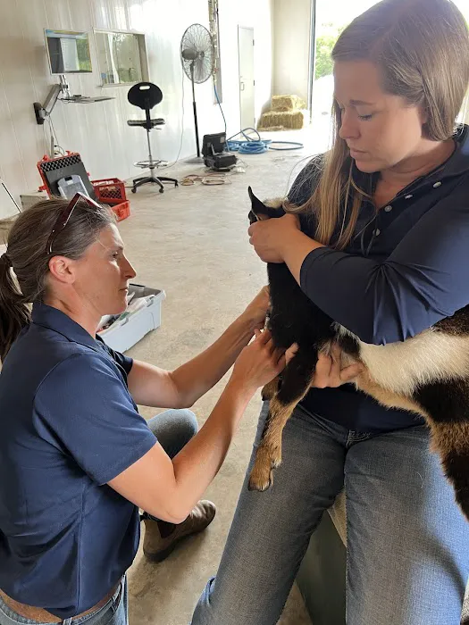 StillGrass Veterinarians Picture 4