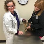 Ashton Animal Clinic - Kaneville
