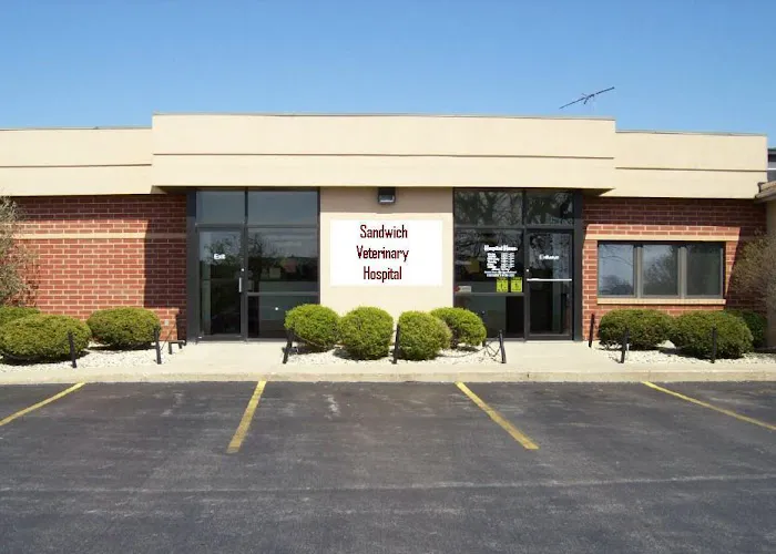 Sandwich Veterinary Hospital Picture 6