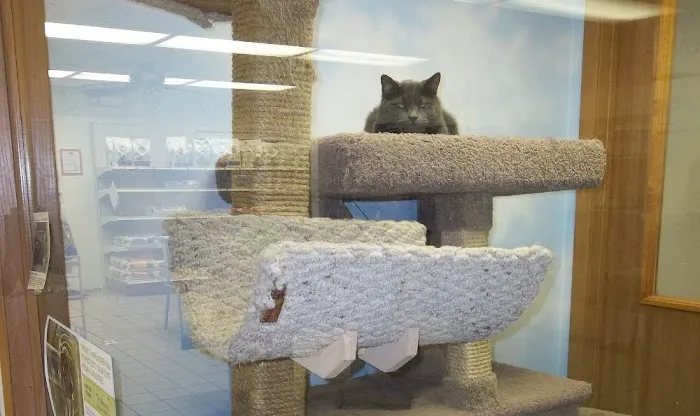 Sandwich Veterinary Hospital Picture 9