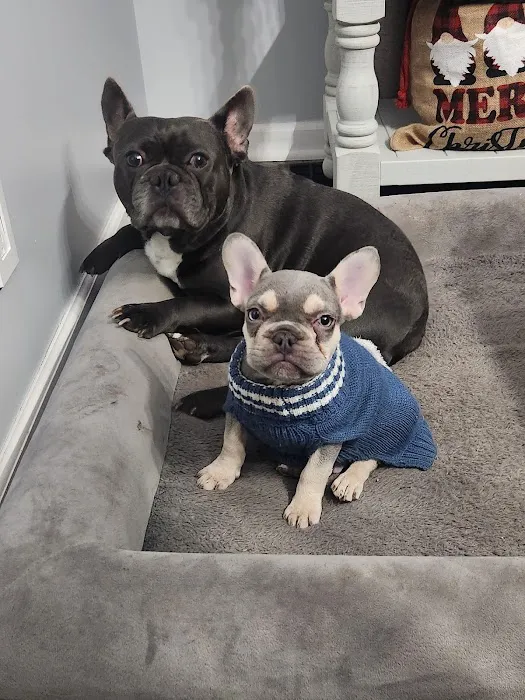 River West Animal Hospital Picture 8