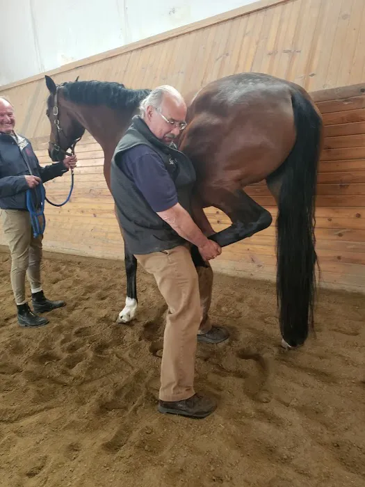 Fox Valley Equine Practice Picture 3