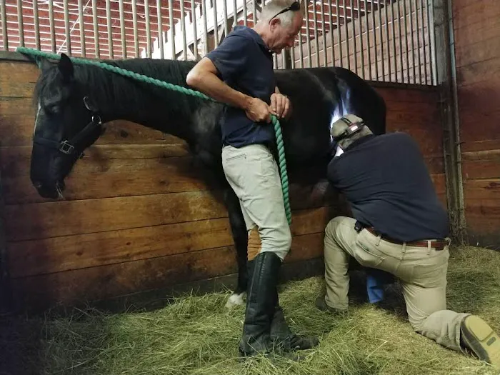 Fox Valley Equine Practice Picture 6