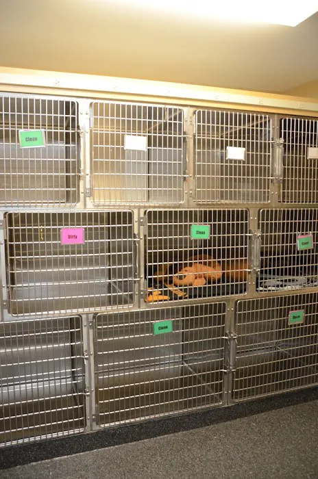 Gateway Veterinary Clinic Picture 2