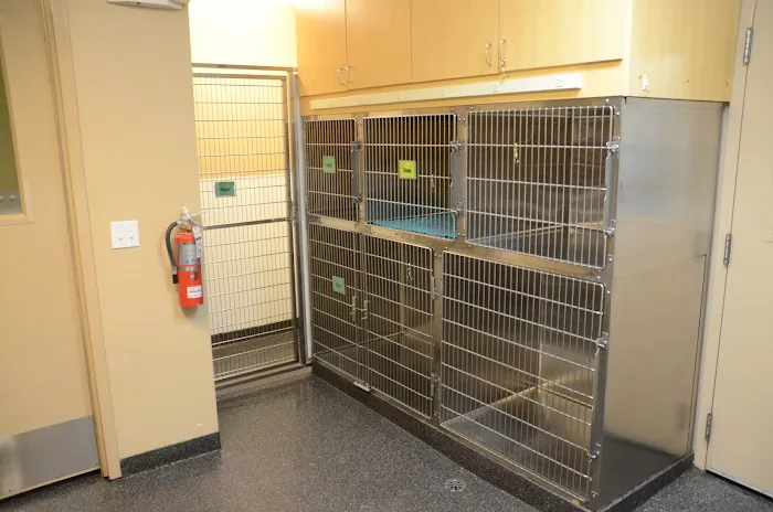 Gateway Veterinary Clinic Picture 6