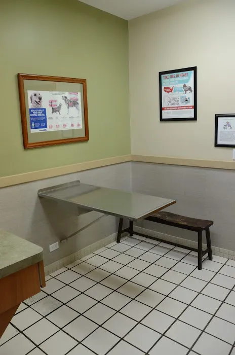Gateway Veterinary Clinic Picture 10