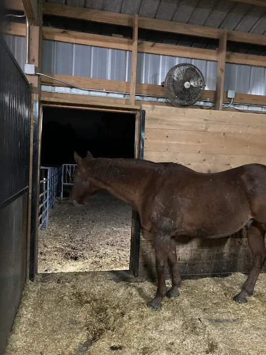 SOUL Harbour Ranch Animal Therapy Program Picture 5