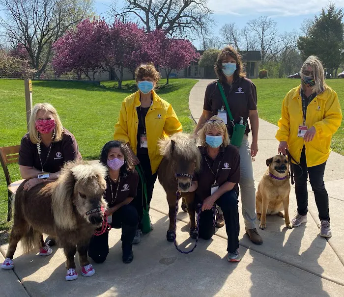 SOUL Harbour Ranch Animal Therapy Program Picture 10