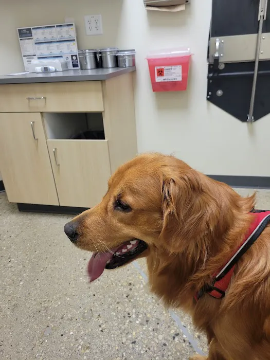 Vetco Total Care Animal Hospital Picture 4