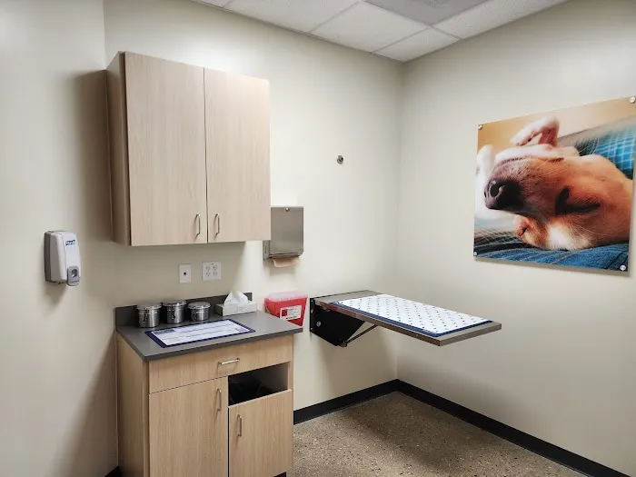 Vetco Total Care Animal Hospital Picture 10