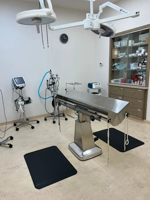 VCA Noyes Animal Hospital Picture 1