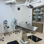 VCA Noyes Animal Hospital
