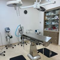 VCA Noyes Animal Hospital ico