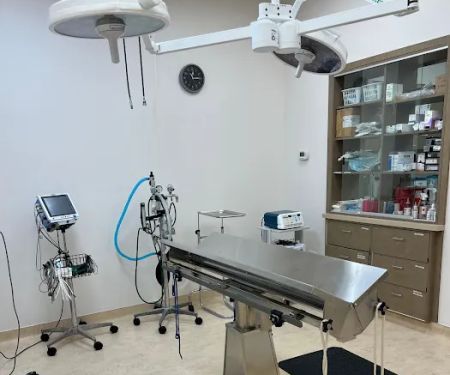 VCA Noyes Animal Hospital