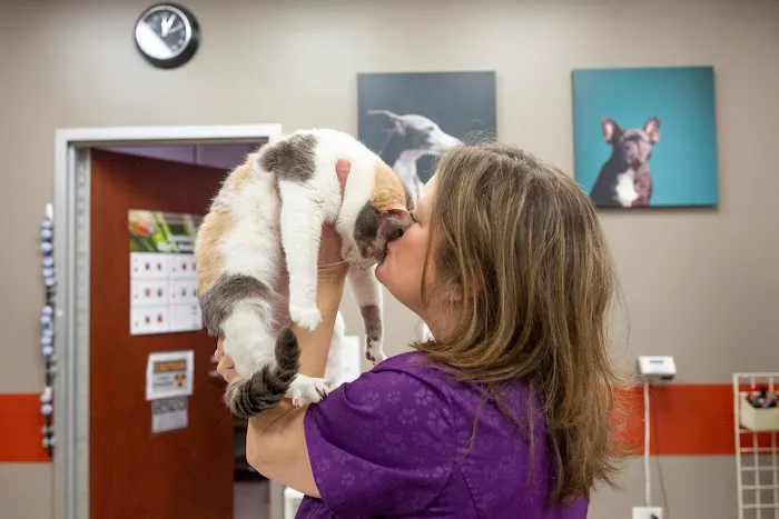 VCA Noyes Animal Hospital Picture 4