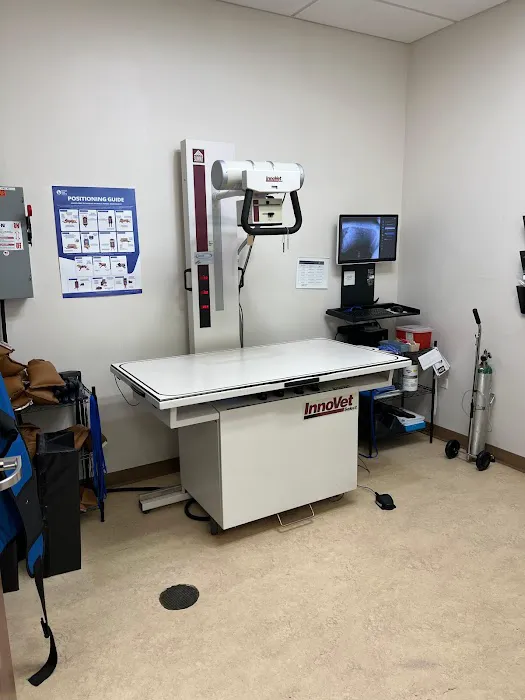 VCA Noyes Animal Hospital Picture 8