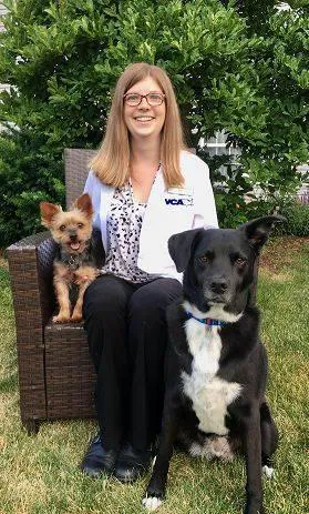 VCA Noyes Animal Hospital Picture 5